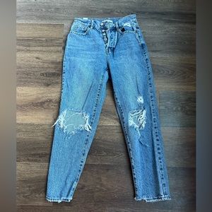 PacSun High Rise Straight Ripped Blue Jeans Size 24